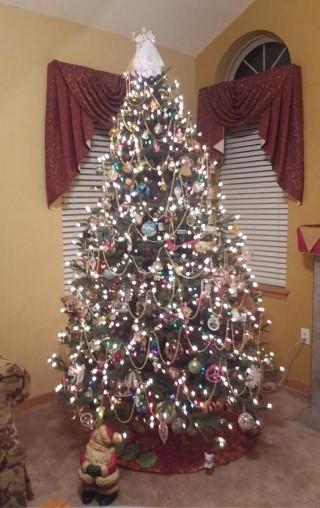 Christmas tree with lights...jpg