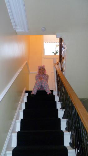 Mona the beast guarding our new staircase