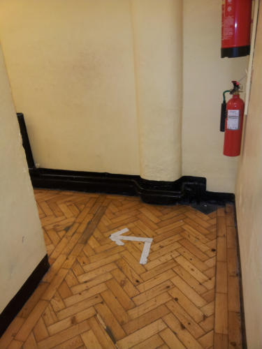 This way!