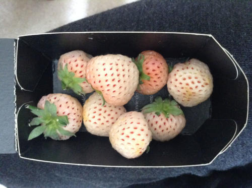 White Strawberries.