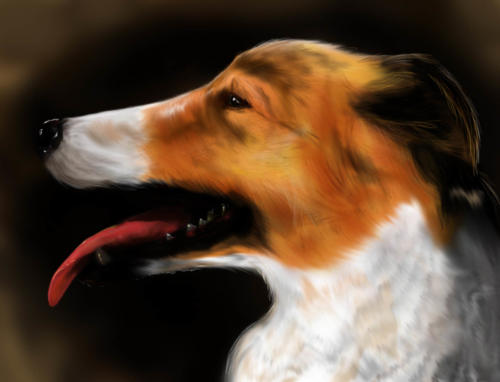 "Lassie" by Lisa, Digital, 2010 (age 15)