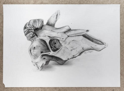 "Desert" by Lisa, Pencil, 2009 (age 14)