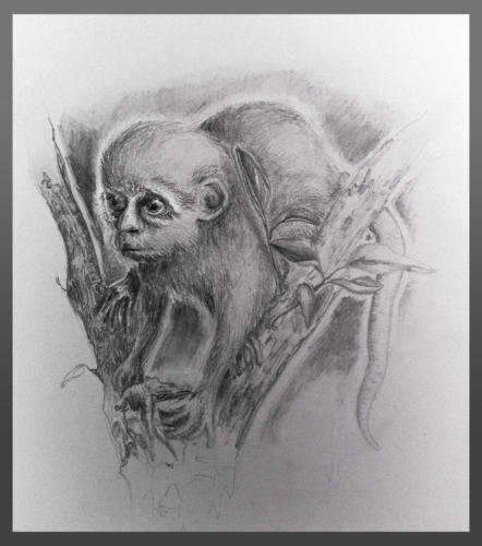 "Mona" by Lisa, Pencil, 2011 (age 16)