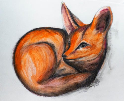 "Firefox" by Lisa, Pencil, 2011 (age 16)