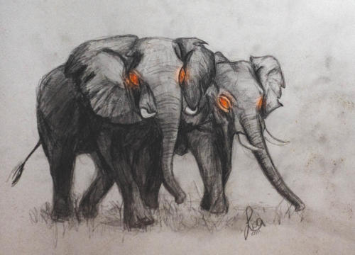 "Eye Infection" by Lisa, Pencil, 2011 (age 16)